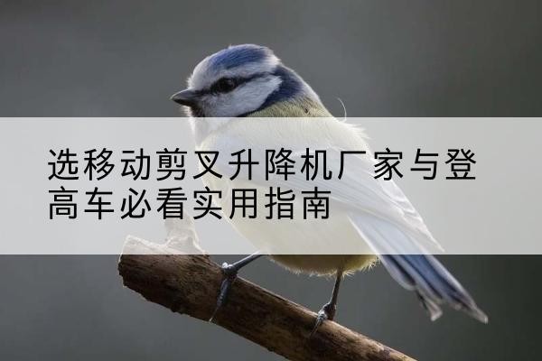 辽阳电动升降机厂家-选移动剪叉升降机厂家与登高车必看实用指南
