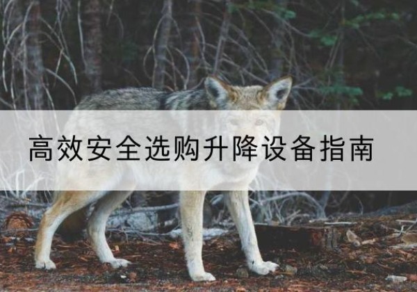 辽阳升降货梯厂家推荐-*安全选购升降设备指南